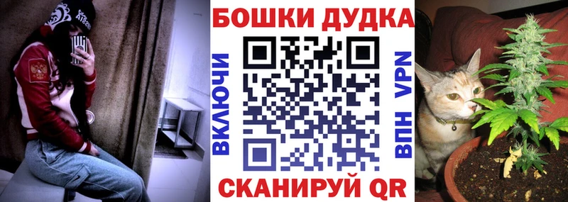 Каннабис сатива  omg вход  Межгорье  где можно купить  